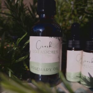 Bottle of organic rosemary oil in different sizes surrounded by branches of fresh rosemary.
